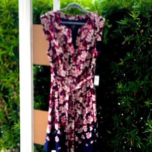 Adrianna Papell Fit N Flare Shirt Dress 20W NWT